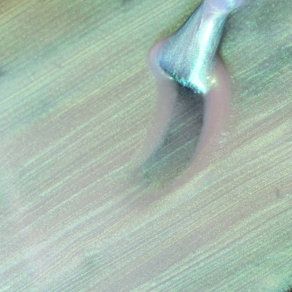 Gel Polish Shellac Seashell Grass