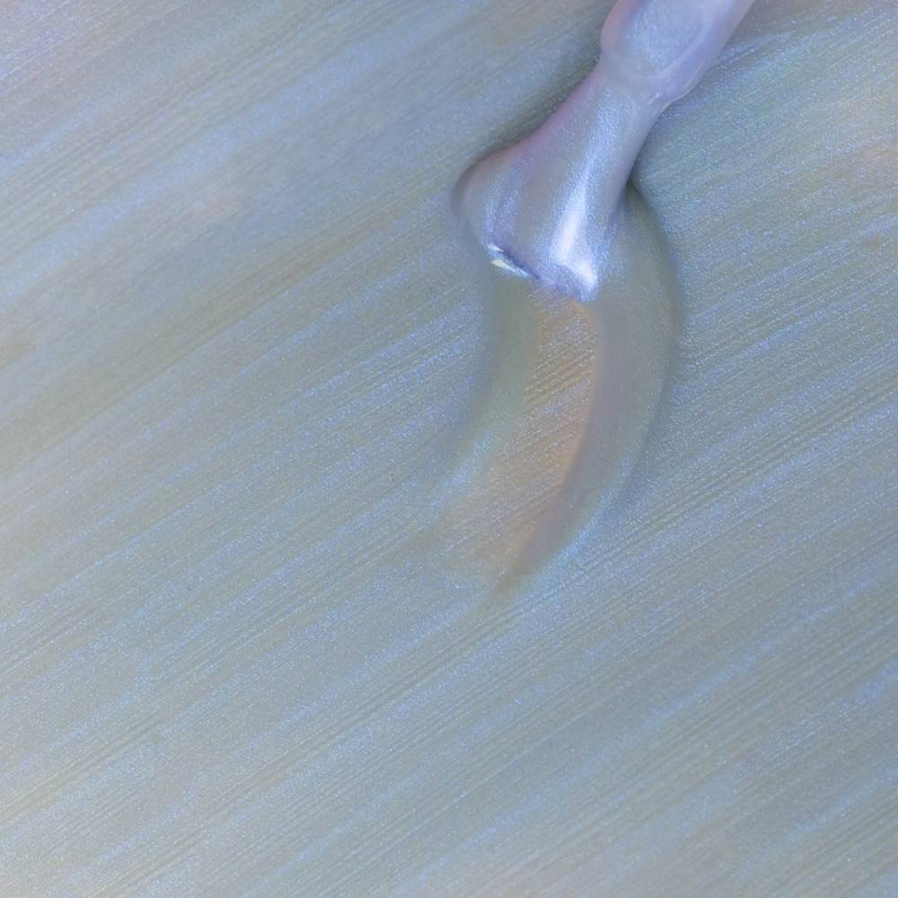 Gellak Schellak Zeeschelp Hortensia