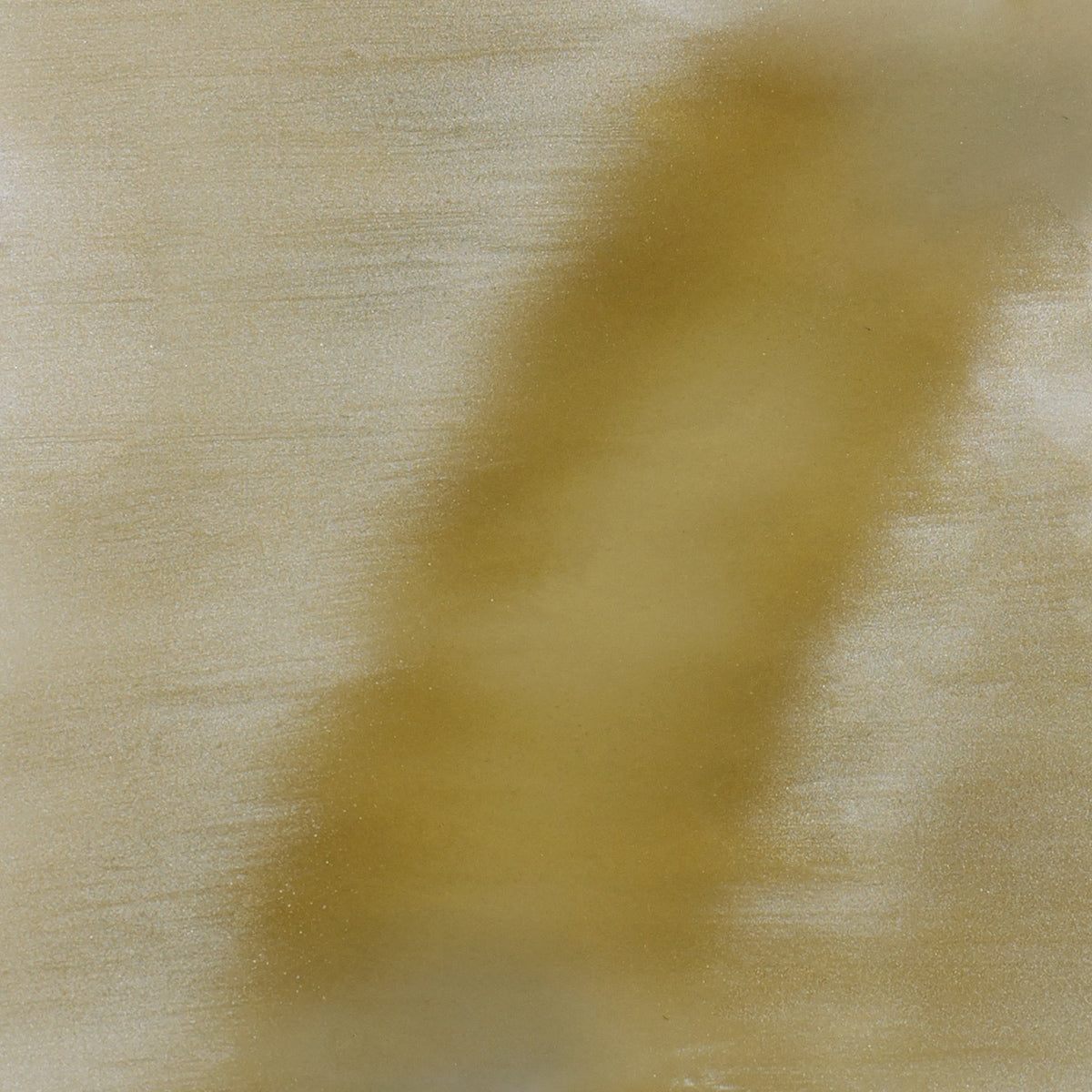 Gel Polish Shellac Cat Eye Leo