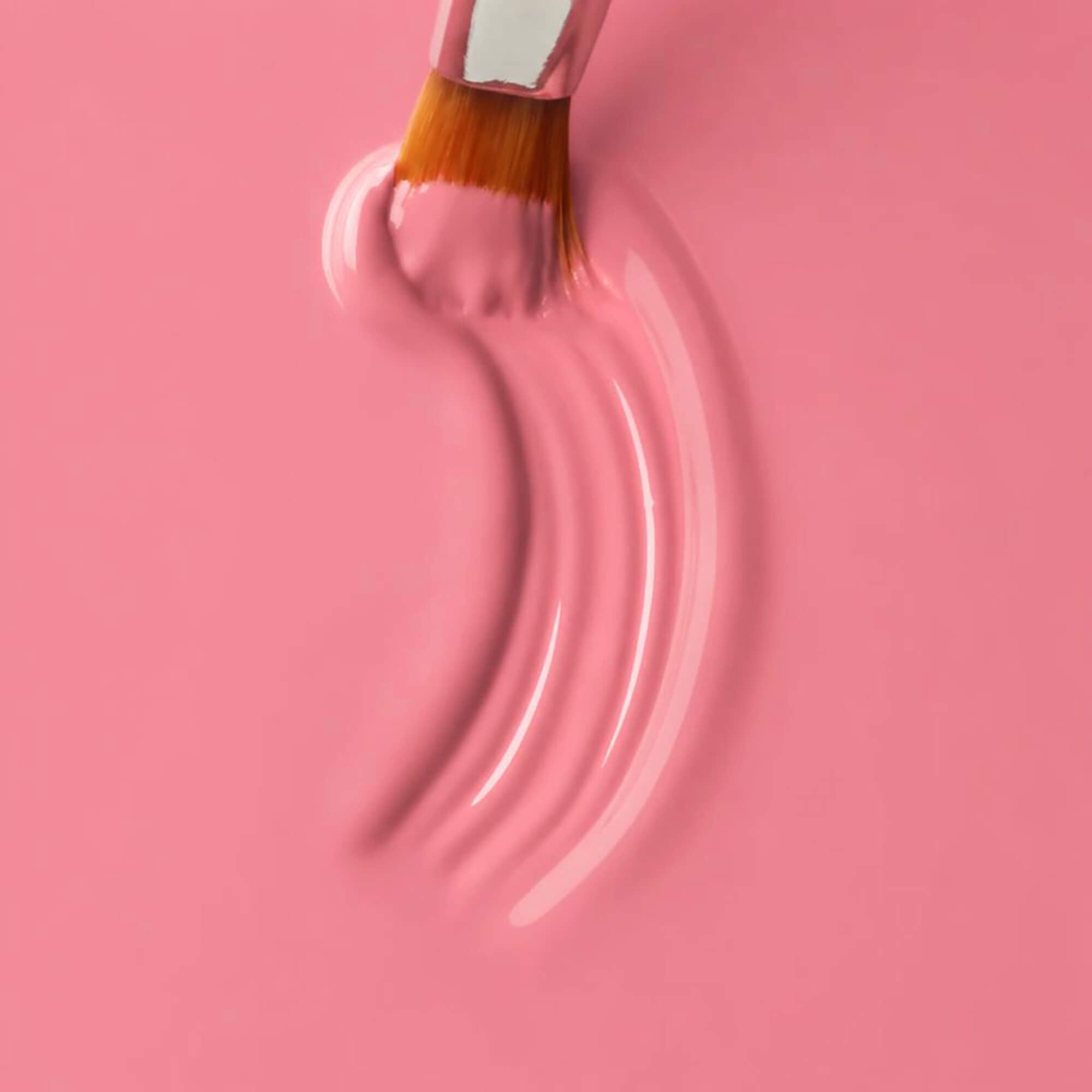 Color Gel Sweet Salmon